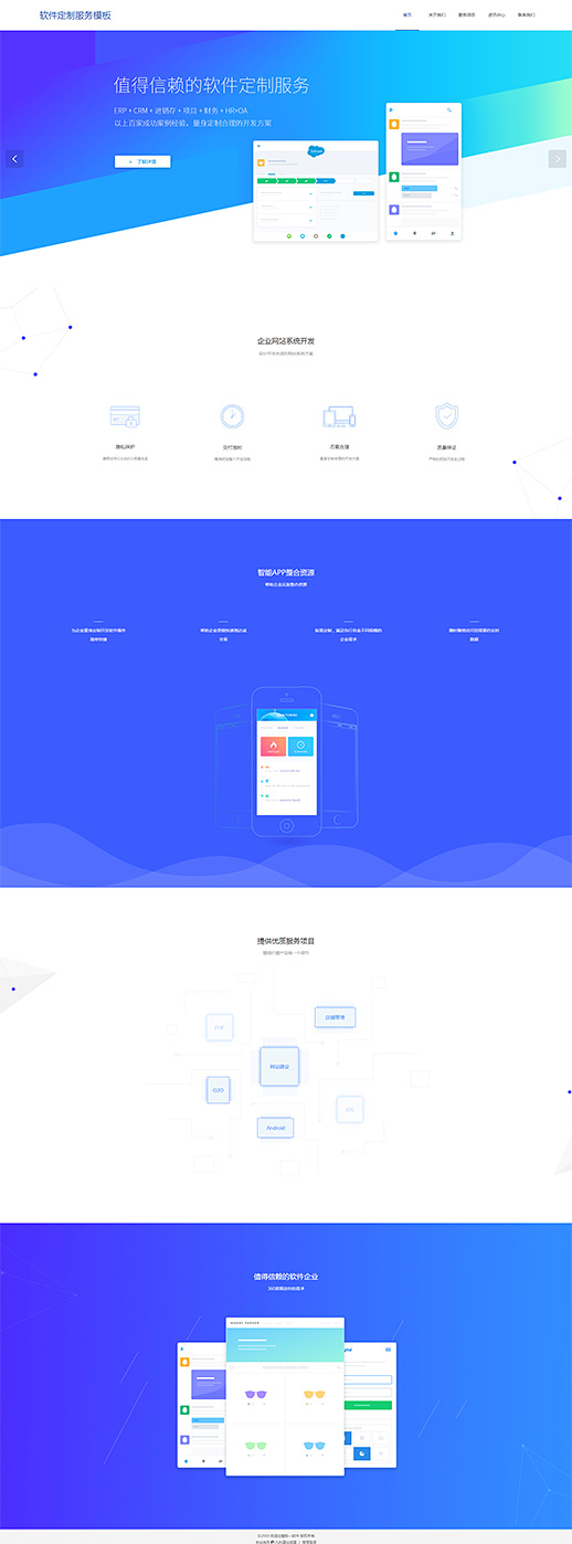 精品软件定制服务网页模板